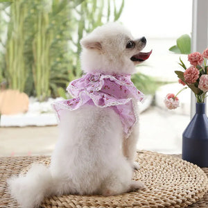 Pet Chest Harness & Leash – Stylish Dog and Cat Walking Set