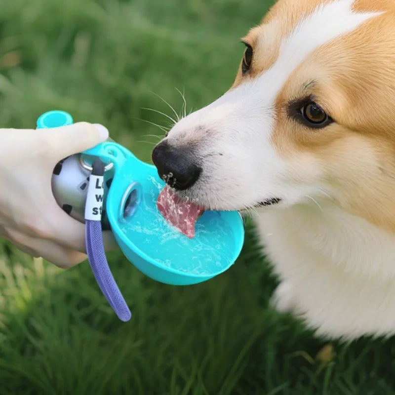 Outdoor Travel Pet Water Cup Portable Foldable Spherical Dog Water Dispenser PET Plastic Reusable Drinking Bottle with Hook