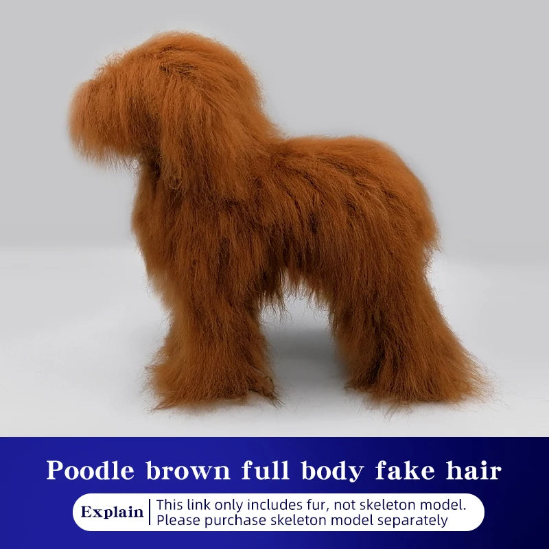 SEO Title: Poodle Dog Grooming Practice Model – Full Body Pet Grooming Dummy