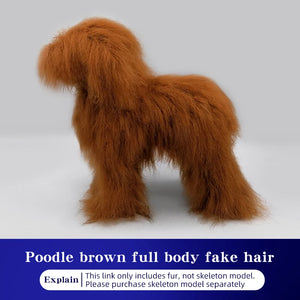 SEO Title: Poodle Dog Grooming Practice Model – Full Body Pet Grooming Dummy