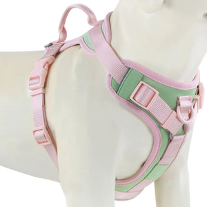 Luxury No-Pull Dog Harness – Adjustable for All Sizes
