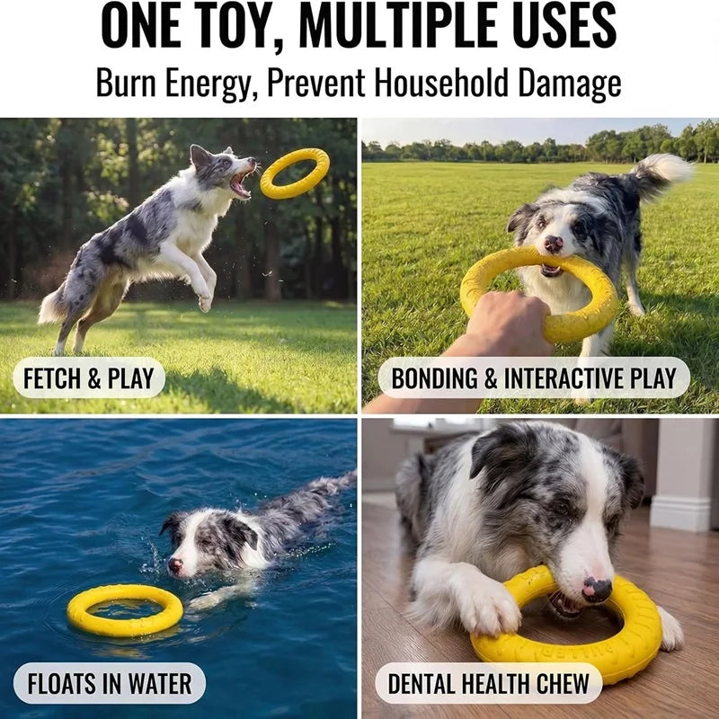 Durable Flying Disc Dog Toy – Interactive Training Ring