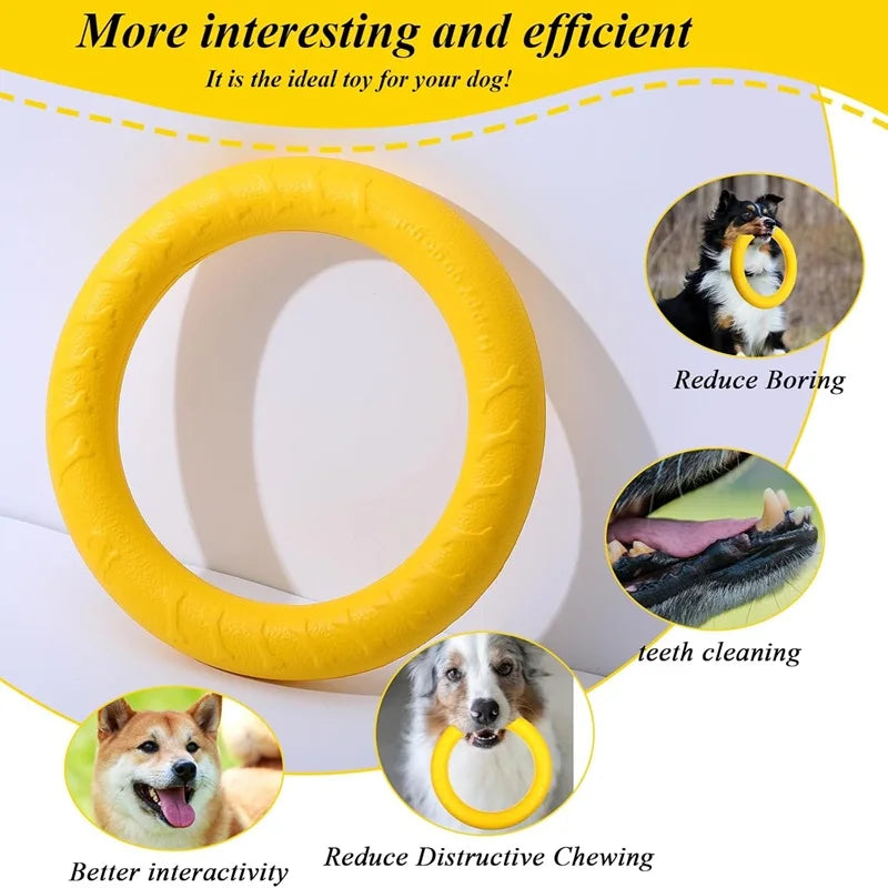 Durable Flying Disc Dog Toy – Interactive Training Ring