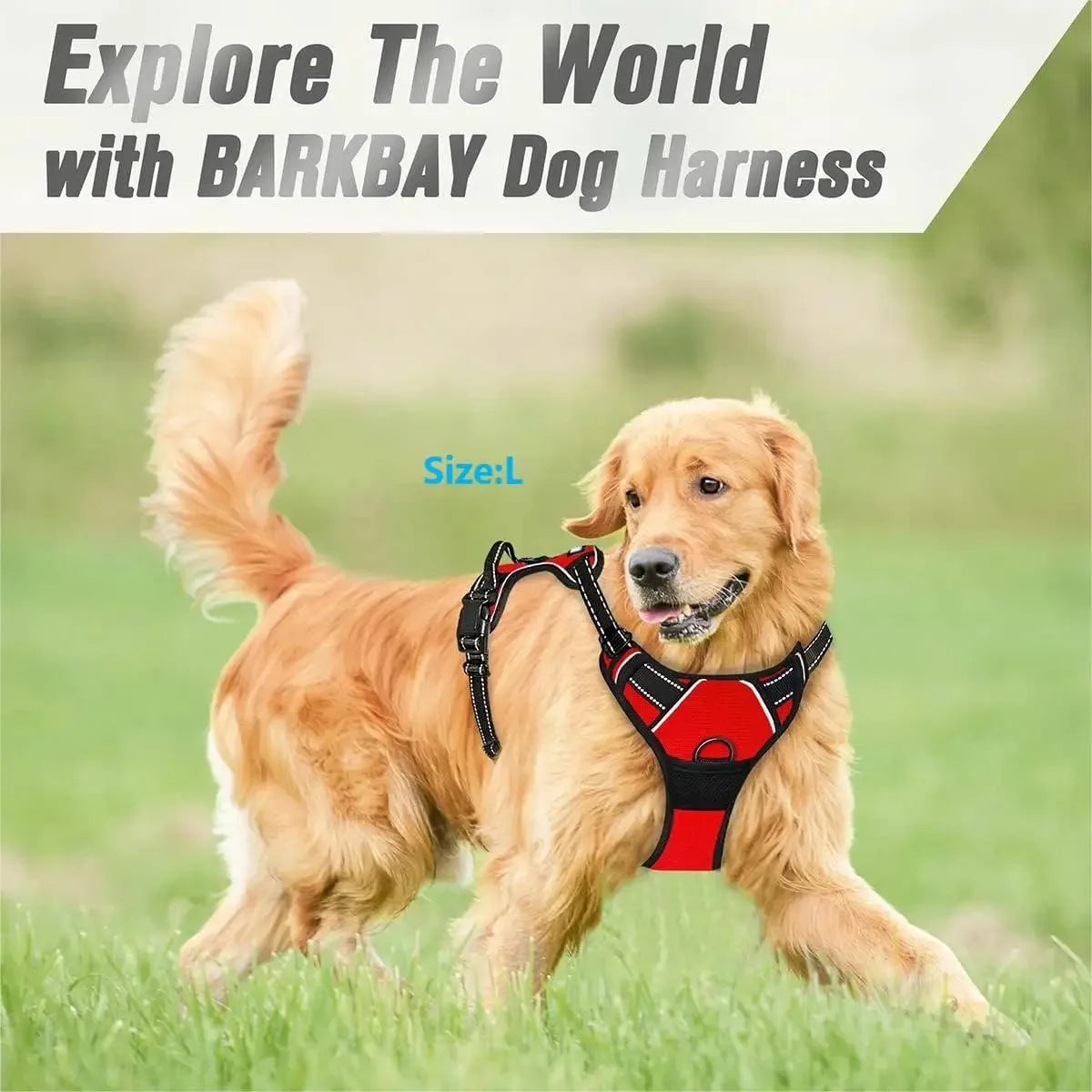 Dog Collar, Harness & Leash Set for Small and Medium Dogs