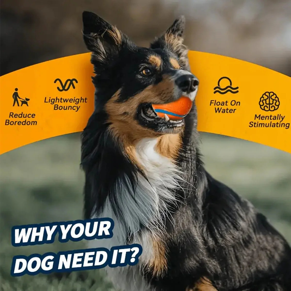 Interactive Rubber Dog Ball – Chew, Training & Teeth Cleaning Toy