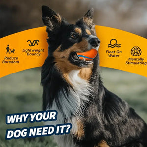 Interactive Rubber Dog Ball – Chew, Training & Teeth Cleaning Toy