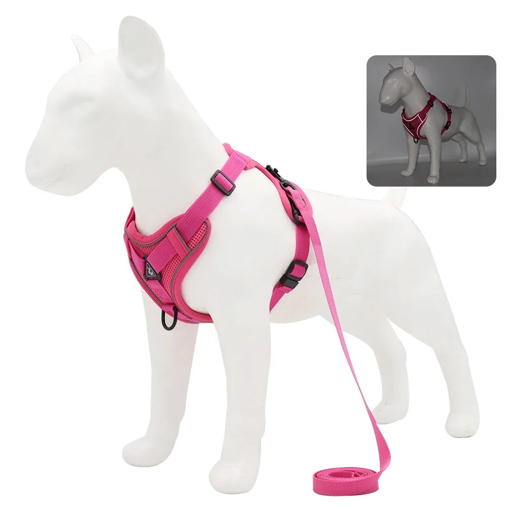 Dog Harness and Leash Set for Small Dogs & Puppies