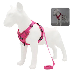 Dog Harness and Leash Set for Small Dogs & Puppies