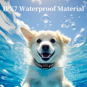 800m Waterproof Dog Training Collar with Remote Control