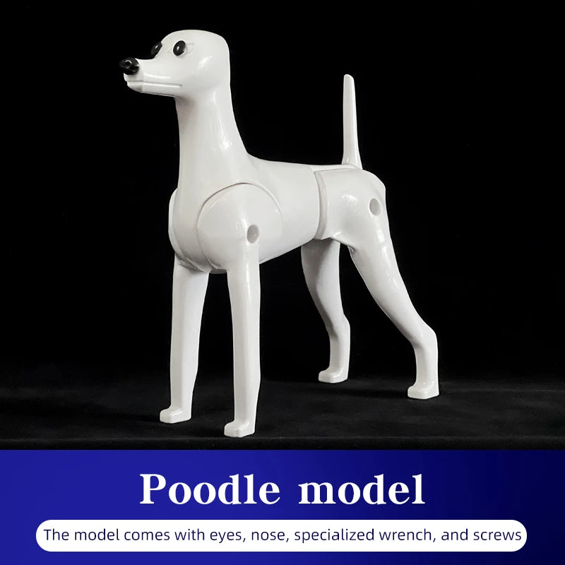 SEO Title: Poodle Dog Grooming Practice Model – Full Body Pet Grooming Dummy