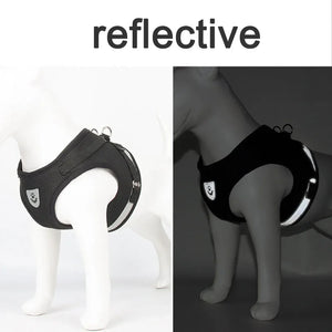 Adjustable Reflective Cat Harness & Leash Set – Escape-Proof Pet Vest