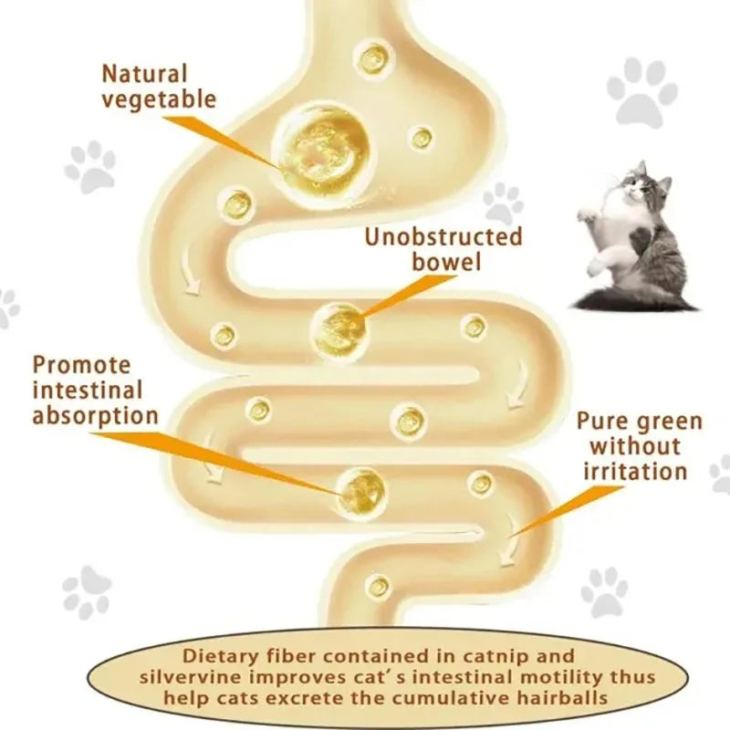 4-in-1 Catnip Silvervine Ball Toy – Teeth Cleaning & Wellness