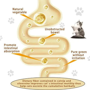 4-in-1 Catnip Silvervine Ball Toy – Teeth Cleaning & Wellness