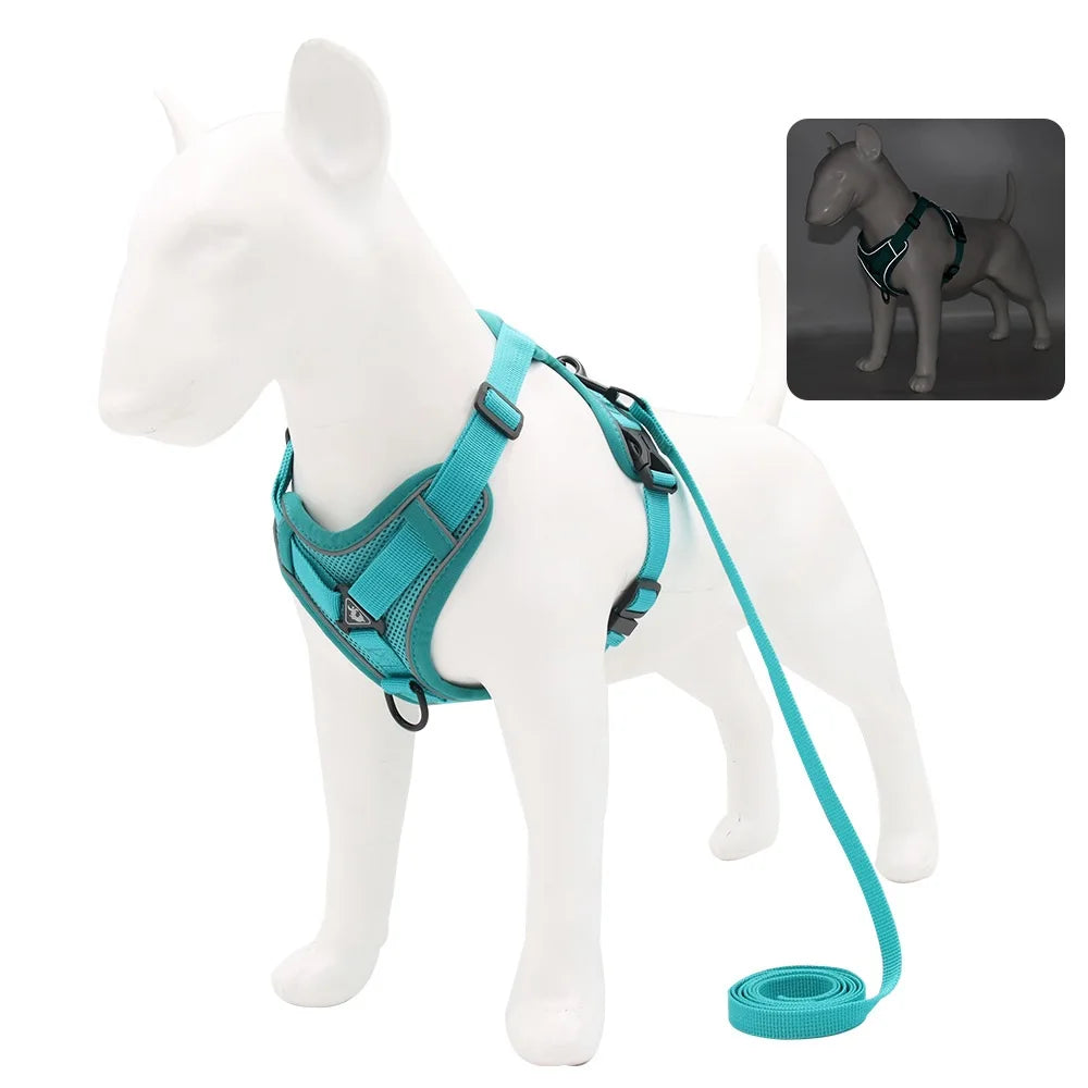 Dog Harness and Leash Set for Small Dogs & Puppies