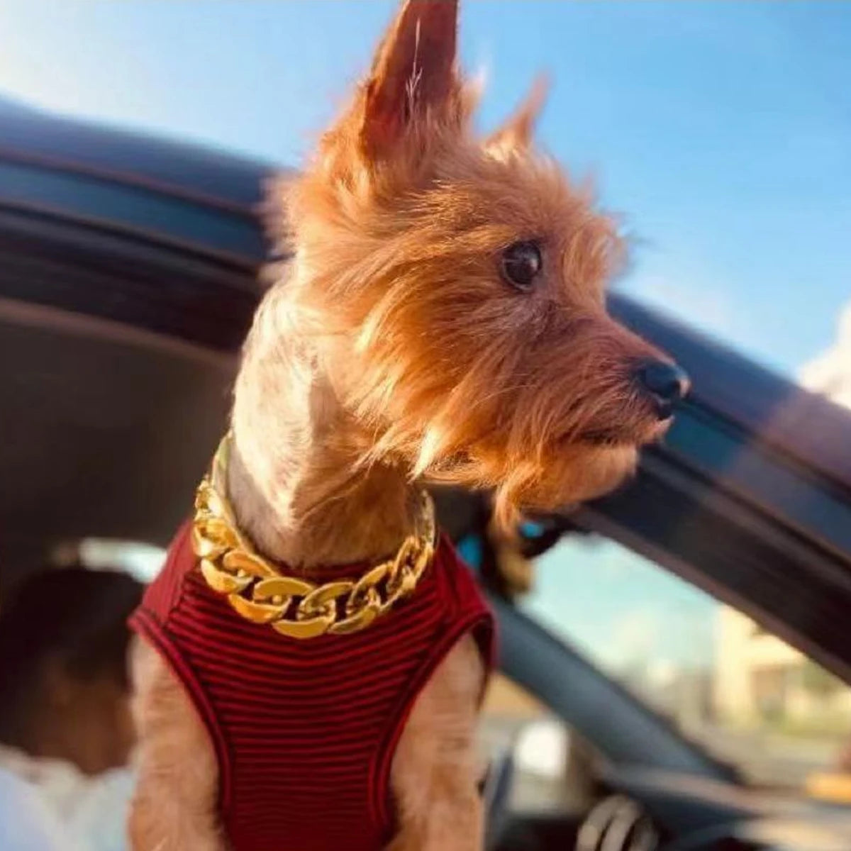 Premium Gold Chain Pet Collar – Adjustable Dog & Cat Necklace