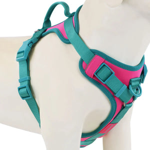 Luxury No-Pull Dog Harness – Adjustable for All Sizes