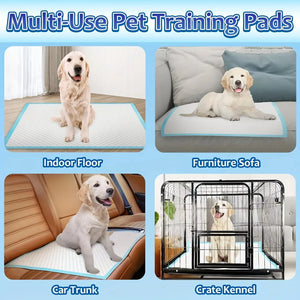 Pet Pee Pads - for Cats to Absorb Urine Cat Diapers. Cat - Small Dog. Puppy. Urinary Pads. Diapers. Suitable for a Variety of Domestic Pets Such as Cats, Dogs, Hamsters, Rabbits, Guinea Pigs, Etc. Suitable for Use in Cages, I