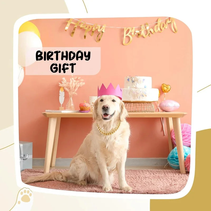SEO Title: Luxury Gold Metal Chain Collar for Dogs & Cats | Pet Necklace