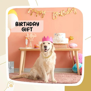 SEO Title: Luxury Gold Metal Chain Collar for Dogs & Cats | Pet Necklace