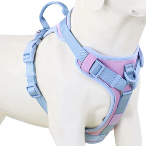 Luxury No-Pull Dog Harness – Adjustable for All Sizes