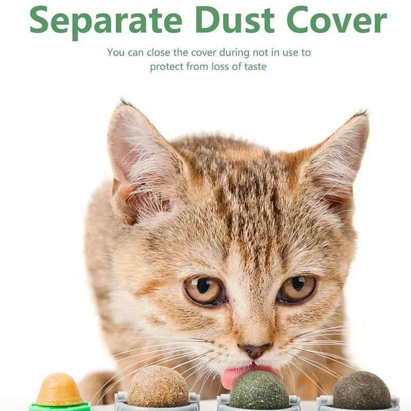 4-in-1 Catnip Silvervine Ball Toy – Teeth Cleaning & Wellness