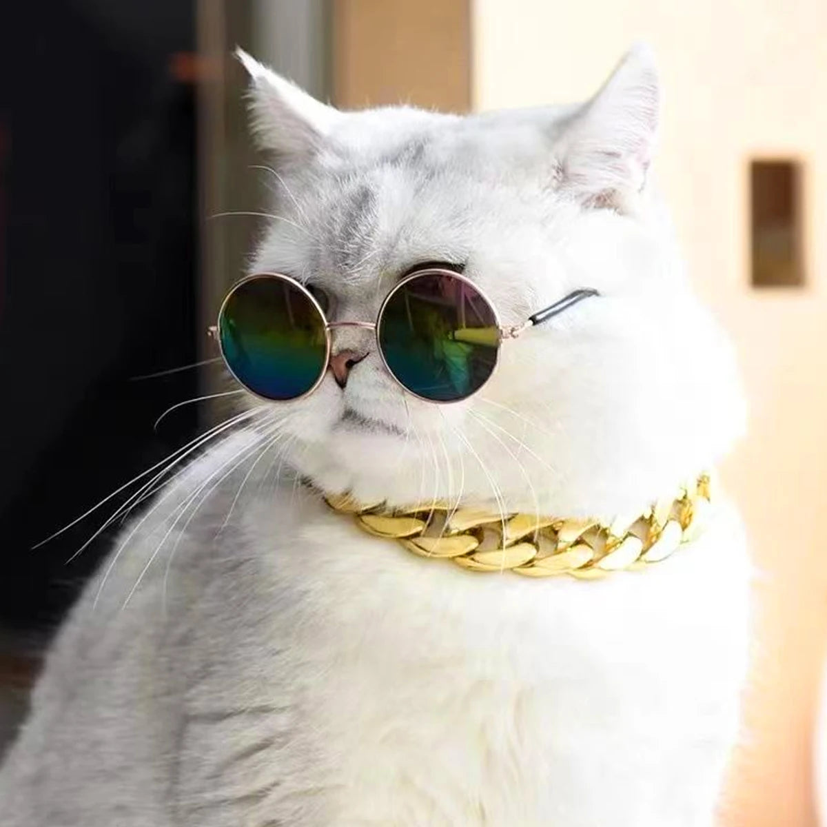Premium Gold Chain Pet Collar – Adjustable Dog & Cat Necklace