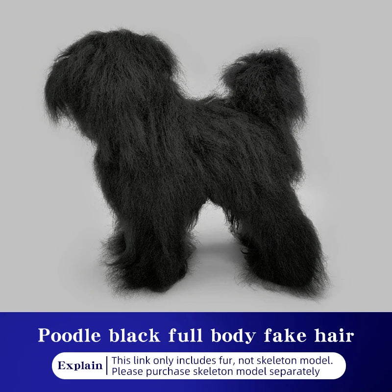 SEO Title: Poodle Dog Grooming Practice Model – Full Body Pet Grooming Dummy