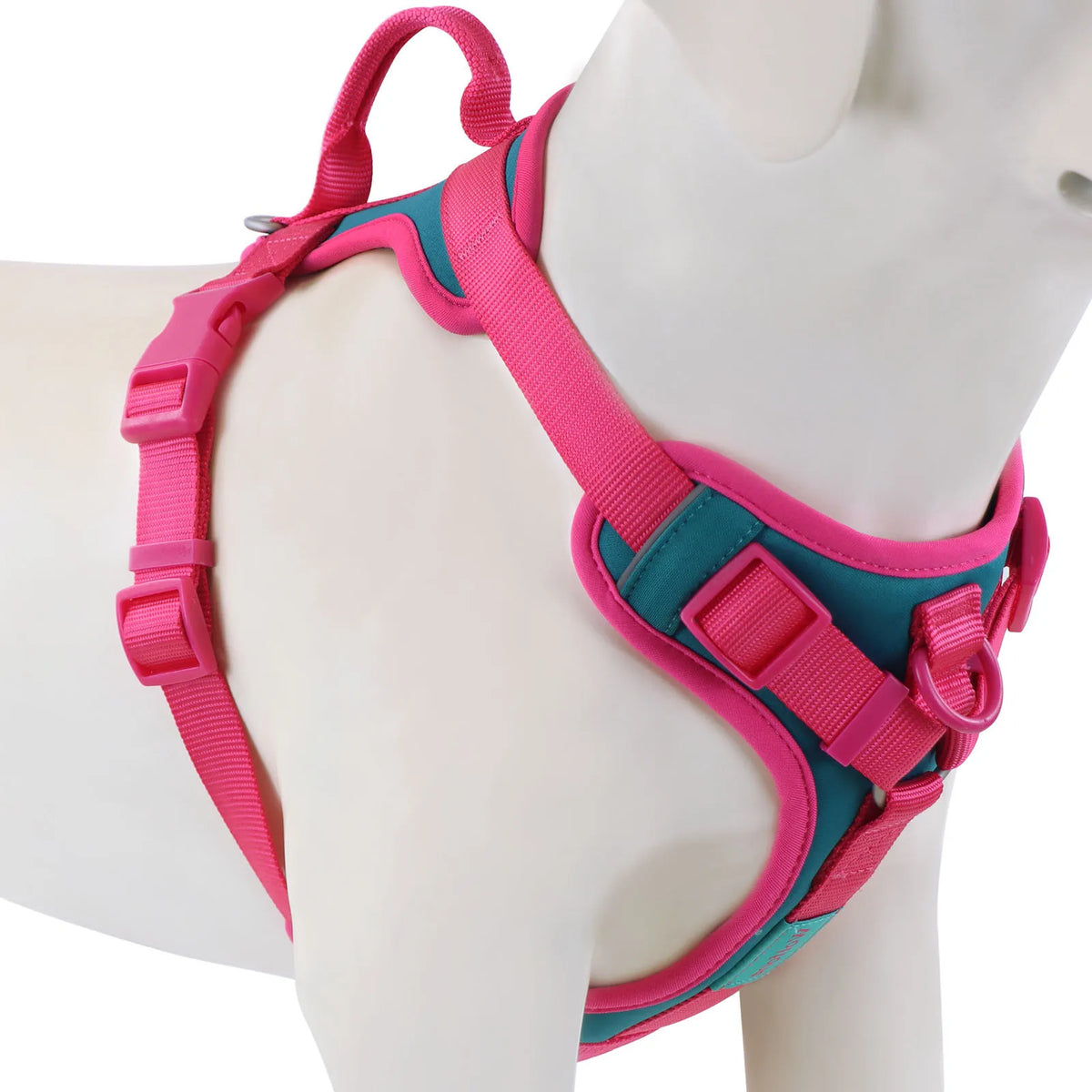 Luxury No-Pull Dog Harness – Adjustable for All Sizes