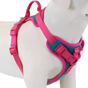 Luxury No-Pull Dog Harness – Adjustable for All Sizes