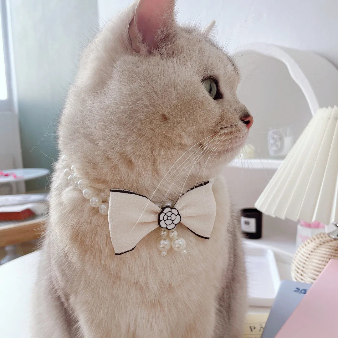 Pearl Bow Pet Collar – Double-Layer Necklace for Cats & Small Dogs