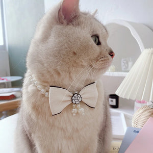 Pearl Bow Pet Collar – Double-Layer Necklace for Cats & Small Dogs
