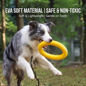 Durable Flying Disc Dog Toy – Interactive Training Ring