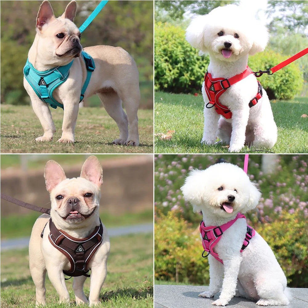Dog Harness and Leash Set for Small Dogs & Puppies