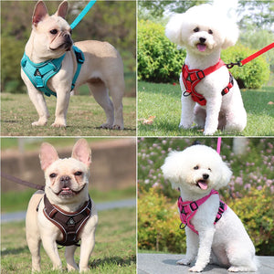 Dog Harness and Leash Set for Small Dogs & Puppies