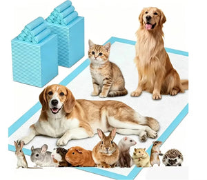 Pet Pee Pads - for Cats to Absorb Urine Cat Diapers. Cat - Small Dog. Puppy. Urinary Pads. Diapers. Suitable for a Variety of Domestic Pets Such as Cats, Dogs, Hamsters, Rabbits, Guinea Pigs, Etc. Suitable for Use in Cages, I