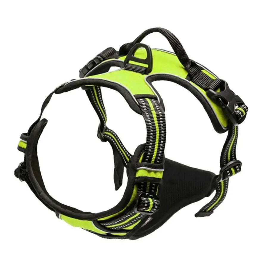 Dog Collar, Harness & Leash Set for Small and Medium Dogs