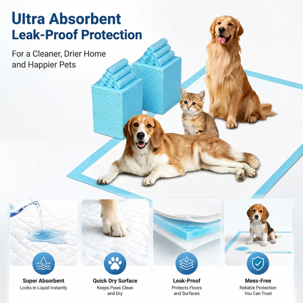 Pet Pee Pads - for Cats to Absorb Urine Cat Diapers. Cat - Small Dog. Puppy. Urinary Pads. Diapers. Suitable for a Variety of Domestic Pets Such as Cats, Dogs, Hamsters, Rabbits, Guinea Pigs, Etc. Suitable for Use in Cages, I