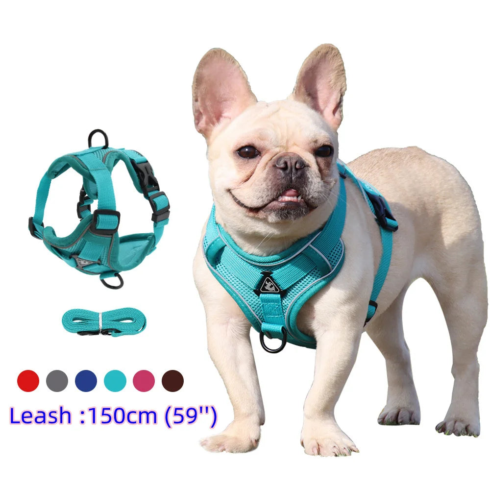 Dog Harness and Leash Set for Small Dogs & Puppies