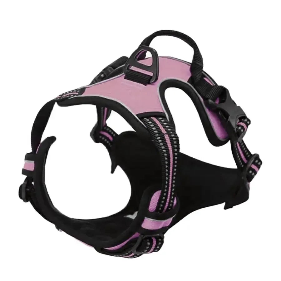 Dog Collar, Harness & Leash Set for Small and Medium Dogs