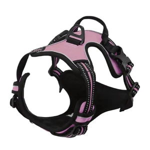 Dog Collar, Harness & Leash Set for Small and Medium Dogs