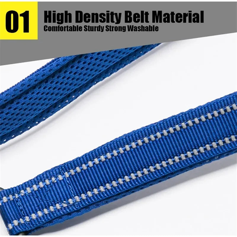 Truelove Reflective Nylon Dog Leash – Padded 200cm Walking Lead