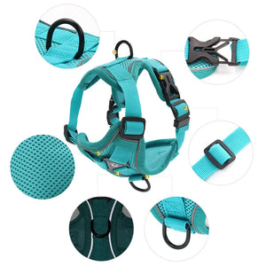 Dog Harness and Leash Set for Small Dogs & Puppies