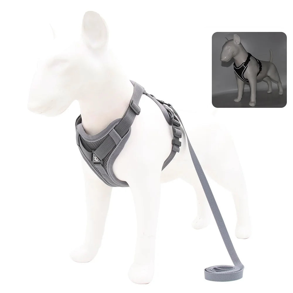 Dog Harness and Leash Set for Small Dogs & Puppies