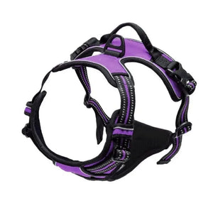 Dog Collar, Harness & Leash Set for Small and Medium Dogs