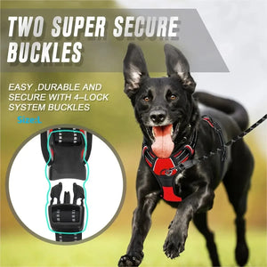 Dog Collar, Harness & Leash Set for Small and Medium Dogs