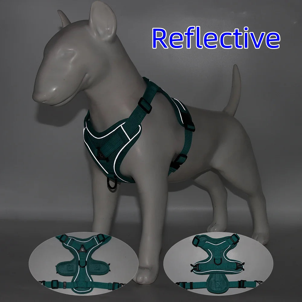 Dog Harness and Leash Set for Small Dogs & Puppies