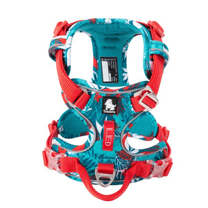 Truelove Reflective No-Pull Dog Harness – Adjustable & Comfortable
