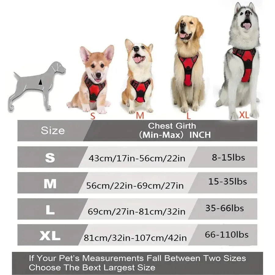 Dog Collar, Harness & Leash Set for Small and Medium Dogs