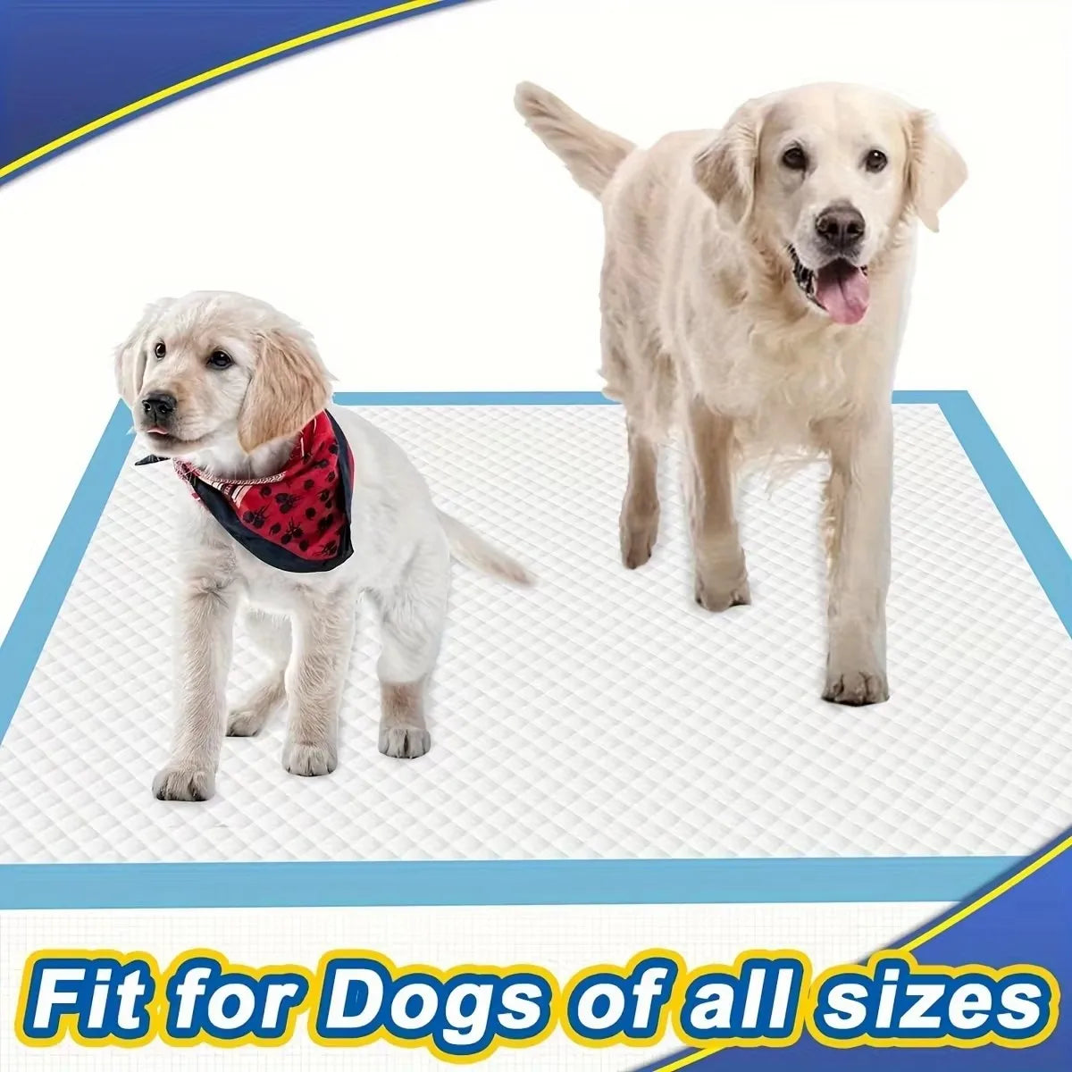 Pet Pee Pads - for Cats to Absorb Urine Cat Diapers. Cat - Small Dog. Puppy. Urinary Pads. Diapers. Suitable for a Variety of Domestic Pets Such as Cats, Dogs, Hamsters, Rabbits, Guinea Pigs, Etc. Suitable for Use in Cages, I