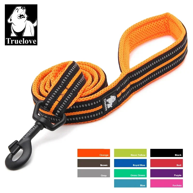 Truelove Reflective Nylon Dog Leash – Padded 200cm Walking Lead